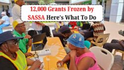 SASSA Freezes 12,000 Grants: Find Out How to Reinstate Yours