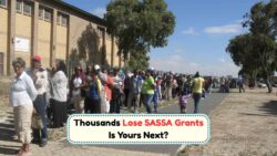 SASSA Grant Suspension Leaves Thousands in Limbo โ Discover the Full Story